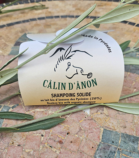 Shampoing solide
