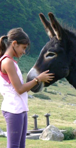 L'exploitation familiale de la ferme Bigourd'âne, à Péré